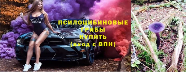 амф Володарск