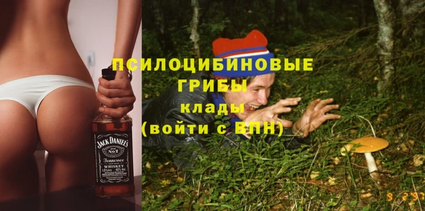 амф Володарск