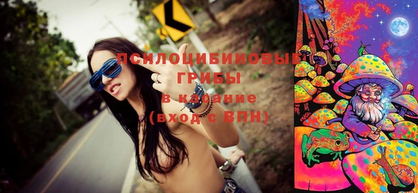 амф Володарск