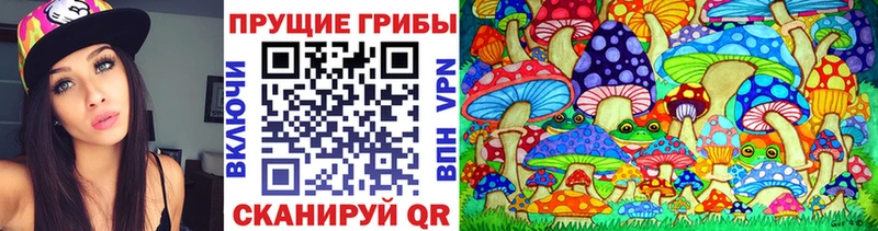 Псилоцибиновые грибы прущие грибы  Сочи 
